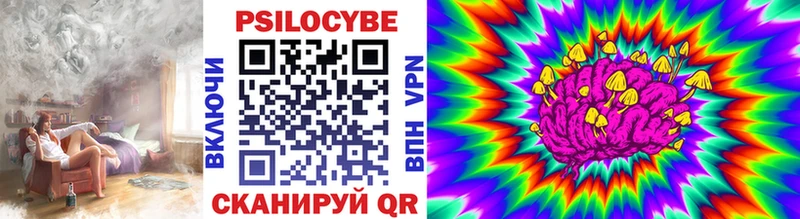 Галлюциногенные грибы Psilocybine cubensis  Гудермес 
