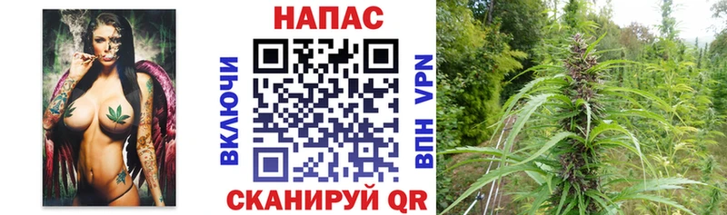 Каннабис White Widow  Гудермес 
